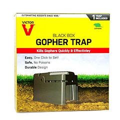 Victor® Black Box Gopher Trap