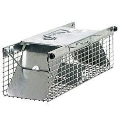 Havahart® Small 2-Door Animal Trap