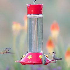 Perky-Pet® Our Best Glass Hummingbird Feeder