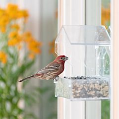 Perky-Pet® Window Bird Feeder - 1 lb Capacity