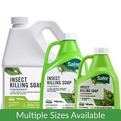 Safer&reg; Brand Insect Killing Soap Concentrate 