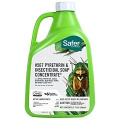 Safer® Brand Insecticidal Soap & Pyrethrin Concentrate - 32 oz