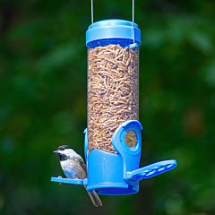 Perky-Pet® Dried Mealworm Bird Feeder with Flexports®