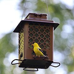  More Birds® Bronze Metal Hopper Bird Feeder