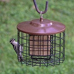  Squirrel-X Double Suet Caged Squirrel-Resistant Bird Feeder