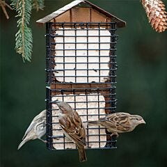  More Birds® Four Cake Suet Buffet Bird Feeder with Weather Guard