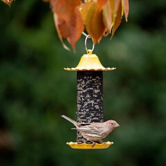  More Birds® Little-Bit Finch Screen Bird Feeder - .6 lb