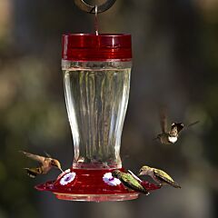  More Birds® Bird Health Big Gulp® Glass Hummingbird Feeder with Ant Moat -  40  oz