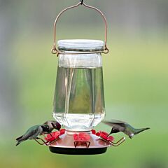  Perky-Pet® Crystal Top-Fill Glass Hummingbird Feeder