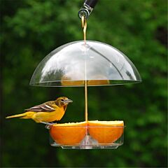  Droll Yankees® Seed Saver® Platform Bird Feeder with Adjustable Dome - 1 lb
