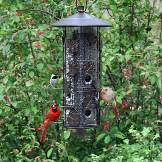 Perky pet triple tube bird feeder deals
