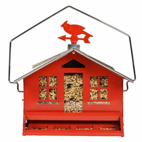 Perky pet products best sale