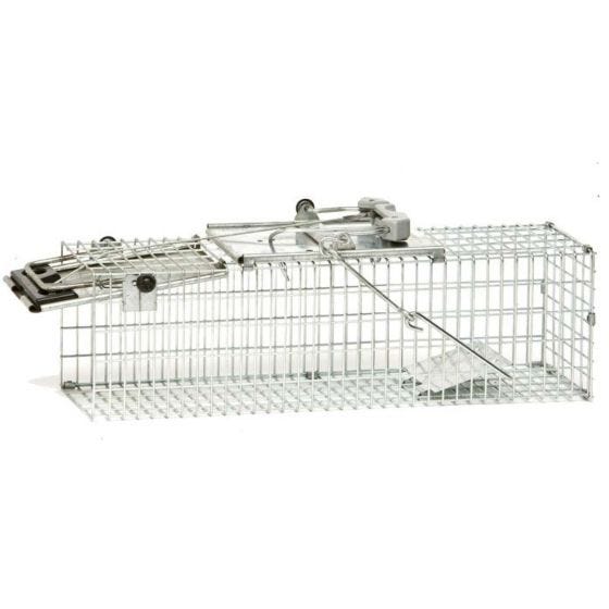 Havahart 1025 Small 2-Door Humane Catch and Release Live Animal Trap for  Squirrels, Chipmunks, Rats, Weasels, and Small Animals