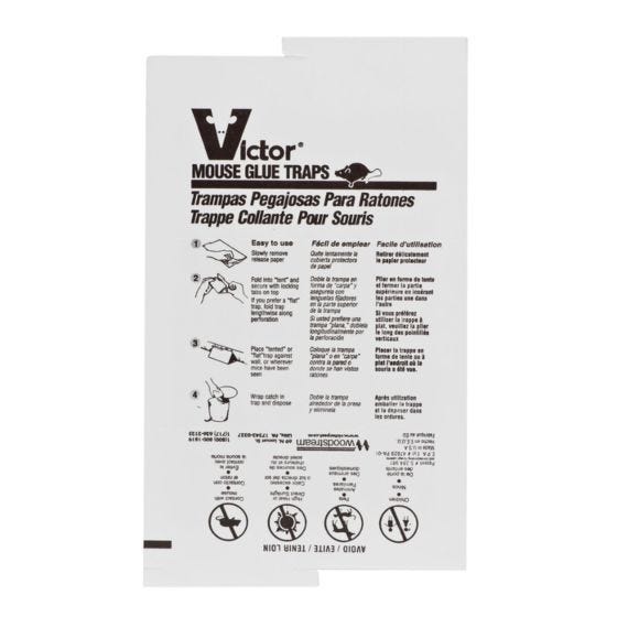 Woodstream 4-Pack Mouse & Insect Glue Board - M182