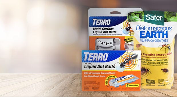 Terro and Safer Ant Control Products