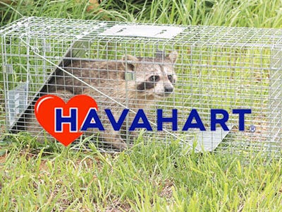 Havahart