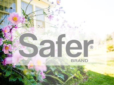 Safer Brand