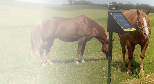 Horses hear a Zareba Solar Fence charger