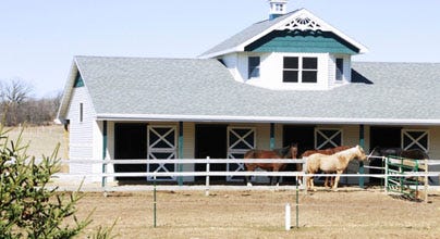 A barn and horses