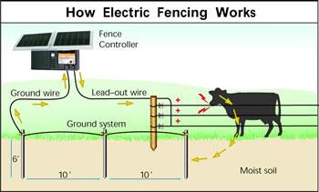 How Eelctric Fencing works - diagram