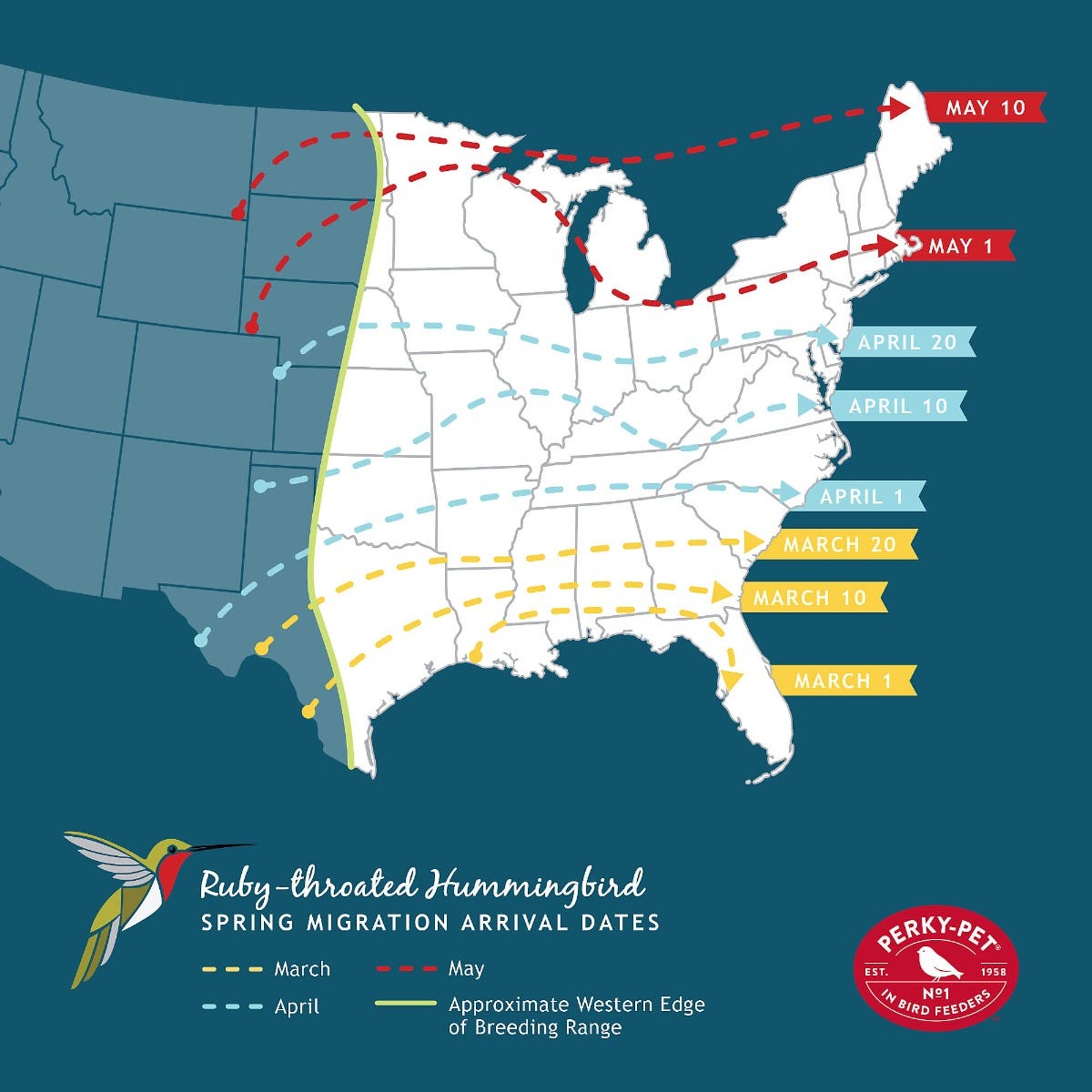 Ruby-Throated Hummingbird Spring Migration Arrival Dates