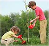 Kids Setting Up a Hummingbird Feeder