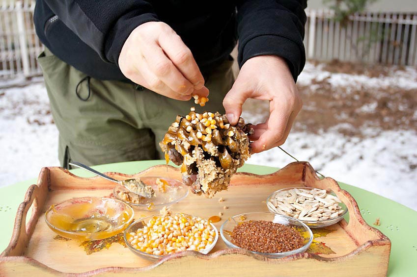 Pine Cone Wreath