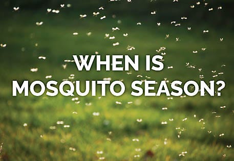 Mosquito Season Is Longer Than You Think