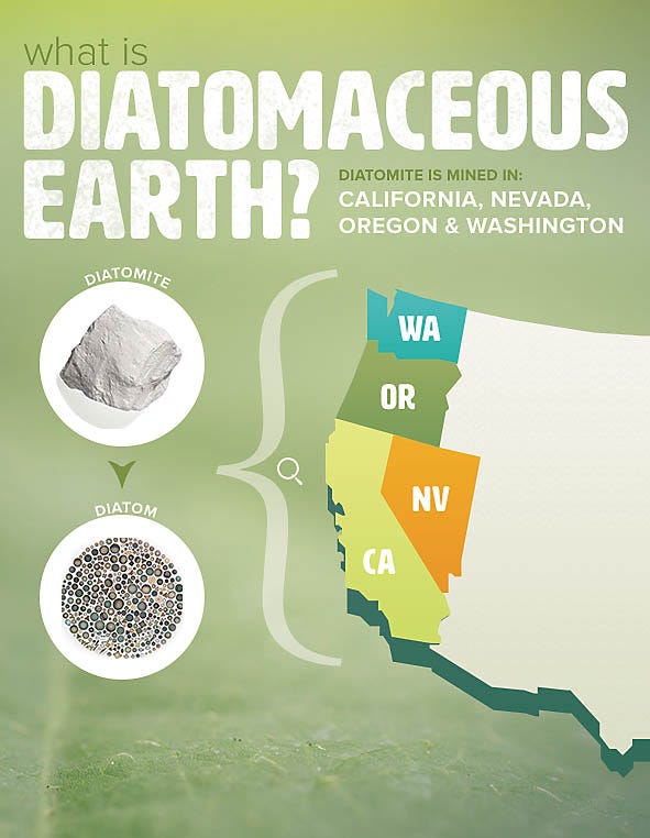 What is Diatomaceous Earth?