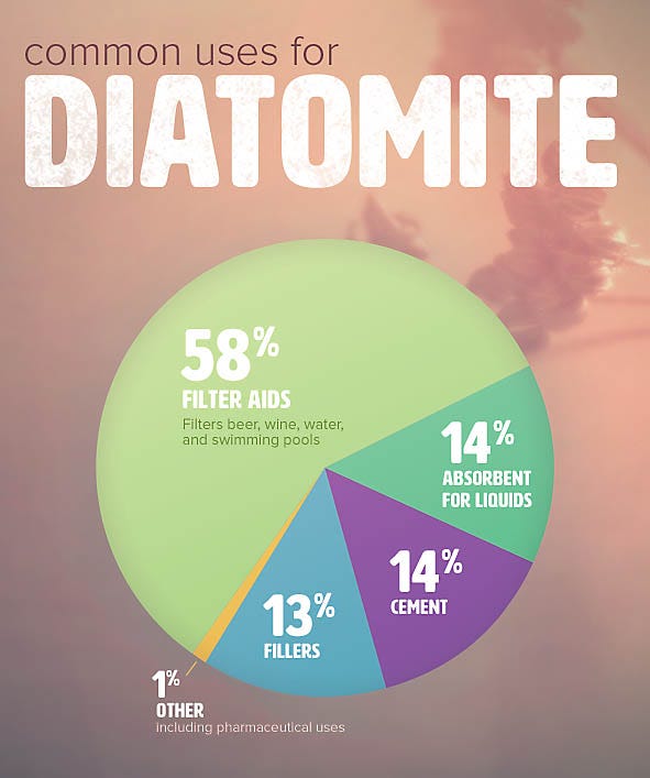 Common Uses for Diatomite