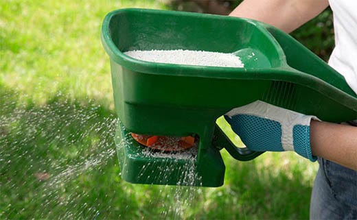 When to Fertilize the Lawn