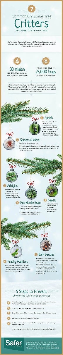 Common Christmas Tree Critters