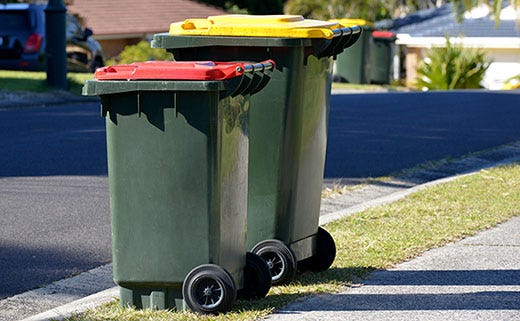 How to Manage a Trash Can Maggot Infestation