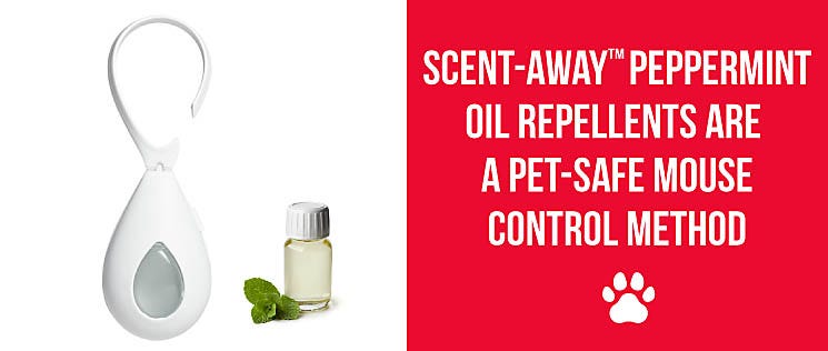 Scent-Away Peppermint Oil Repellents are a pet-safe mouse control method