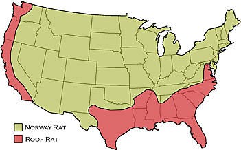 Rat Location Map