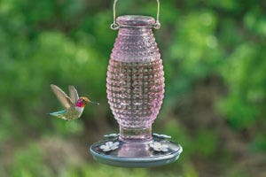 Hummingbird Feeders