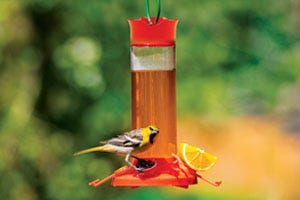 Oriole Feeders