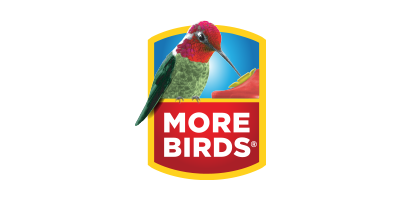 More Birds