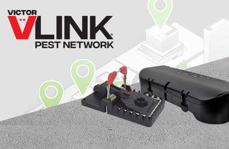 VLINK