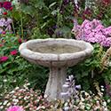 Bird Baths