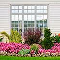 Flower Gardens
