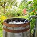 Rain Barrels