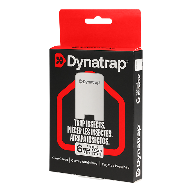 Dynatrap® Refill Glue Cards for Indoor Fly Trap