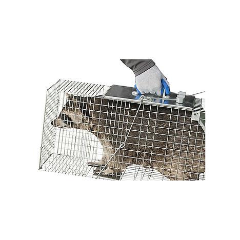 Havahart Large 1-Door Animal Trap