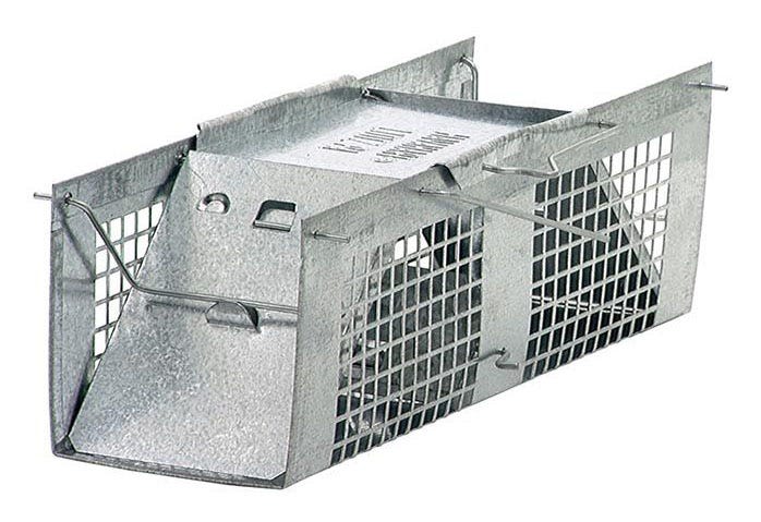 Havahart® Small 1-Door Live Animal Trap