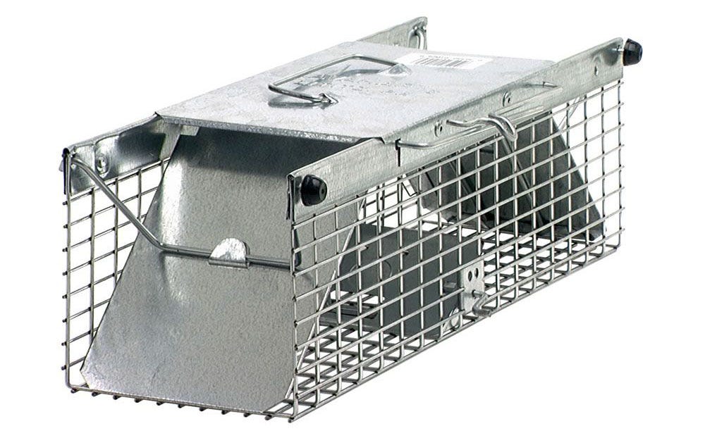 Havahart® Small 1-Door Trap - Oley, PA - Oley Valley Feed