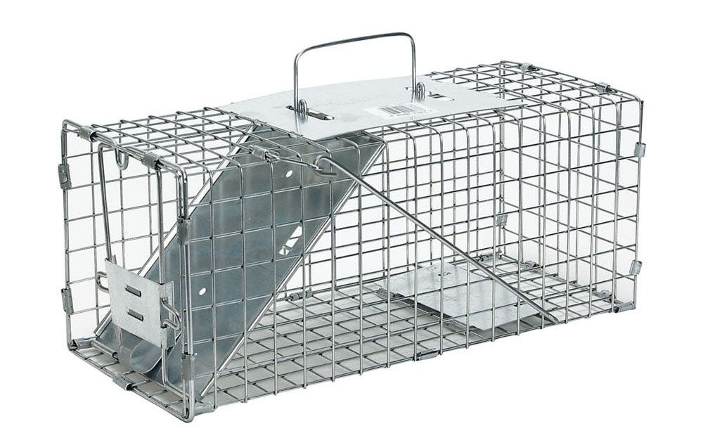 Havahart 1083 Easy Set One-Door Cage Trap for Squirrels and Small Rabbits