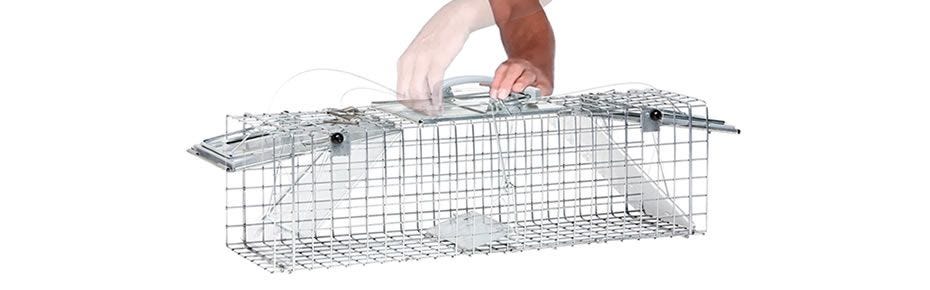 Havahart® Medium 2-Door Safe Release Live Animal Cage Trap