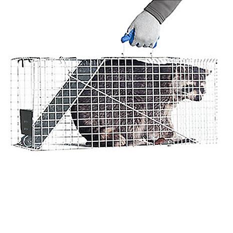 Havahart Large 1-Door Professional Live Animal Cage Trap for