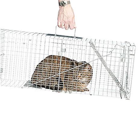 Ideal for Humane Leagues